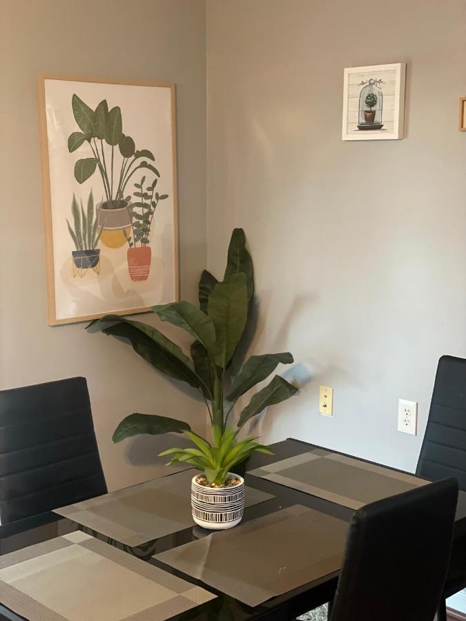Cute 2-Brm Walkout Apt With Pool Table And Theater Apartment Lexington Luaran gambar